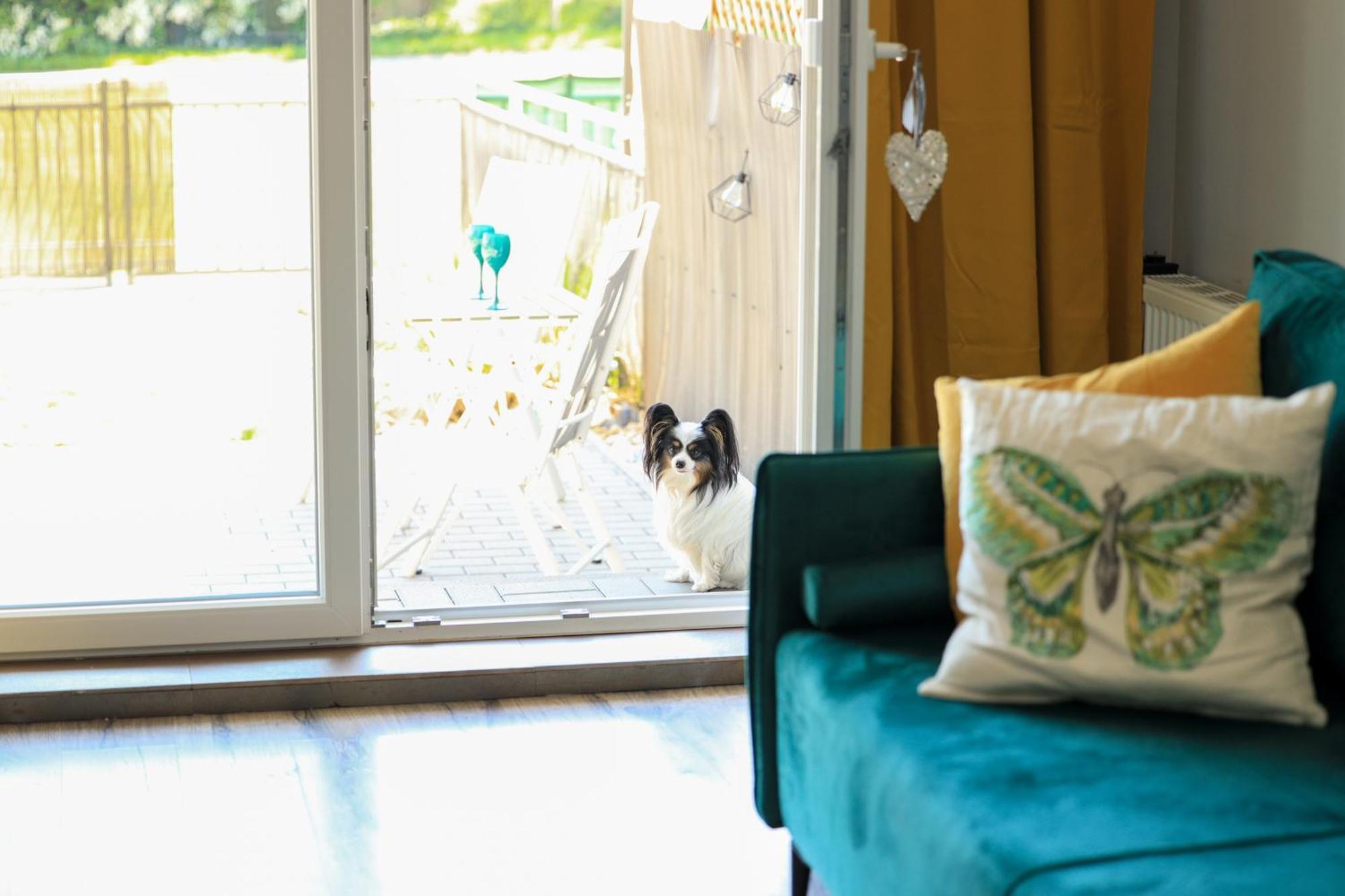 Apartament Komandorski Przy Aquaparku レダ エクステリア 写真